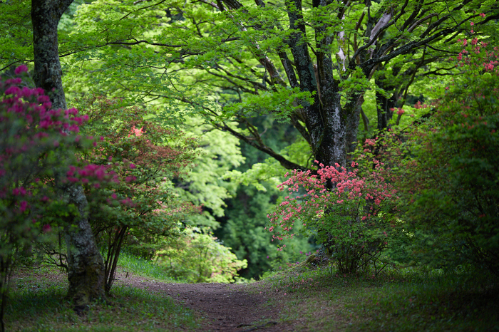 お写ん歩: Canon EOS 6D MarkIIアーカイブ